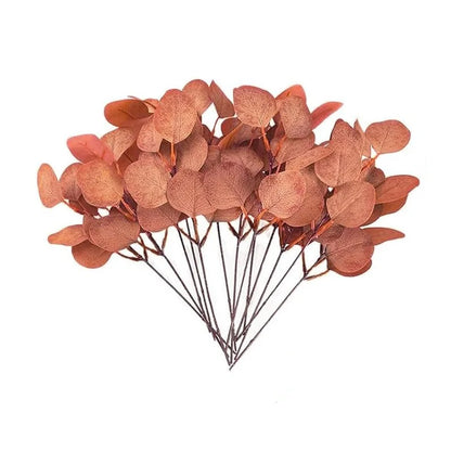 Tiges d'Eucalyptus Artificielles pour Décoration de Salon - 5/10/20 pièces