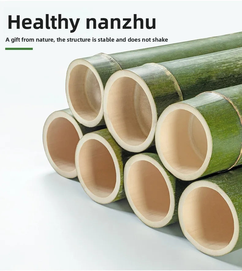 Table de chevet avec tiroir - Armoire de rangement élégante