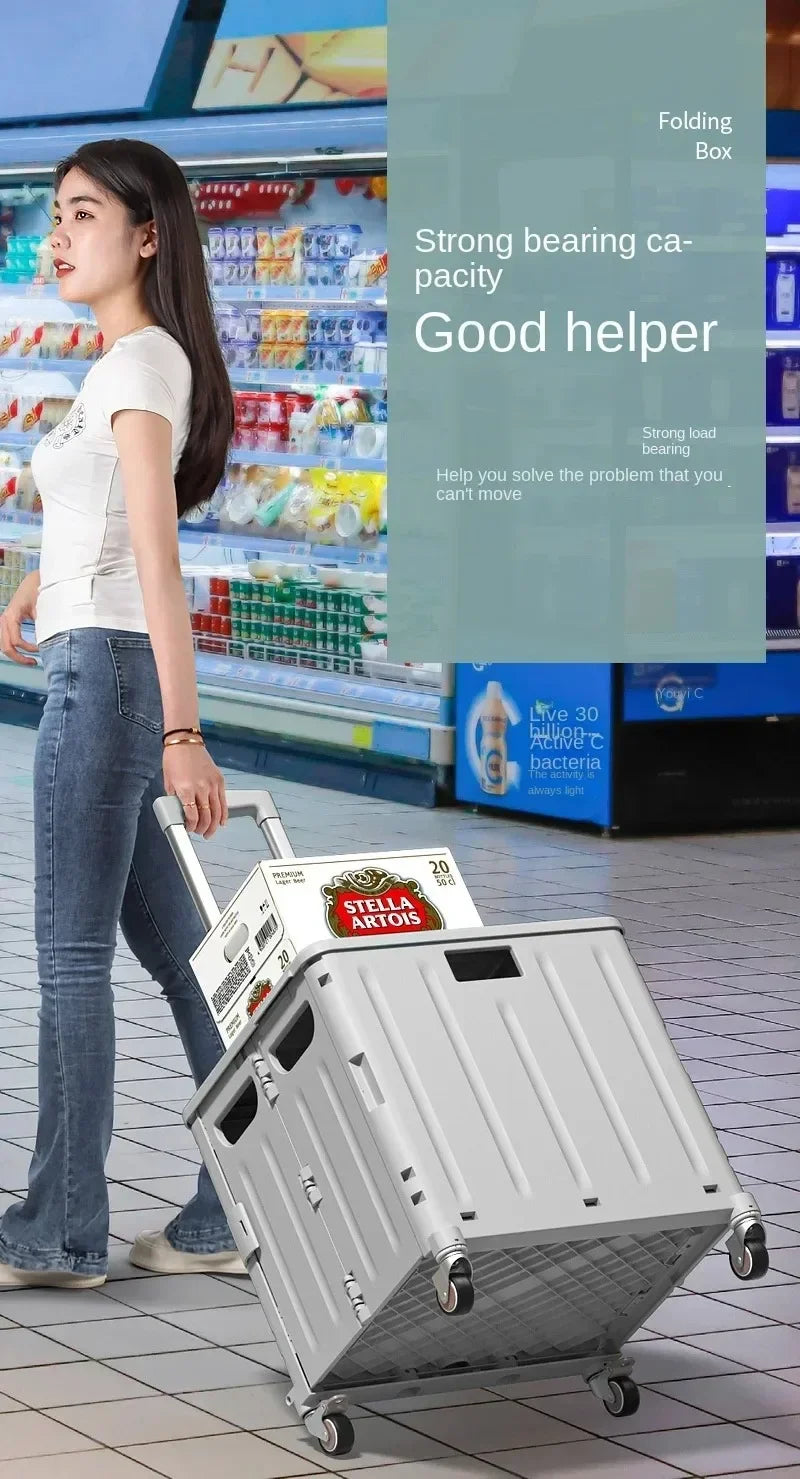 Chariot de courses pliable avec sacs – Idéal pour épicerie et pique-nique