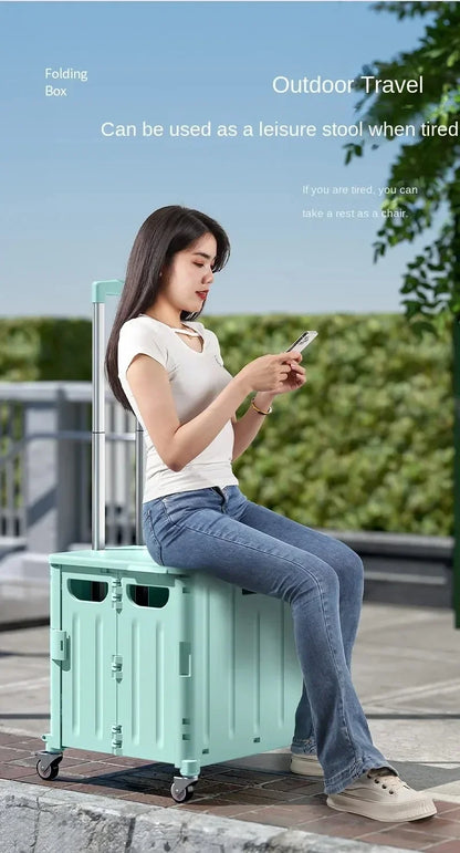 Chariot de courses pliable avec sacs – Idéal pour épicerie et pique-nique