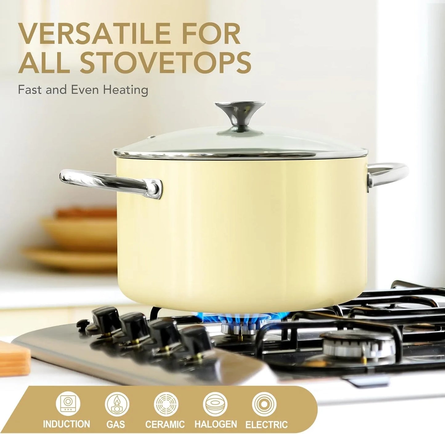 Marmite antiadhésive Michelangelo 6L avec couvercle - Compatible Induction