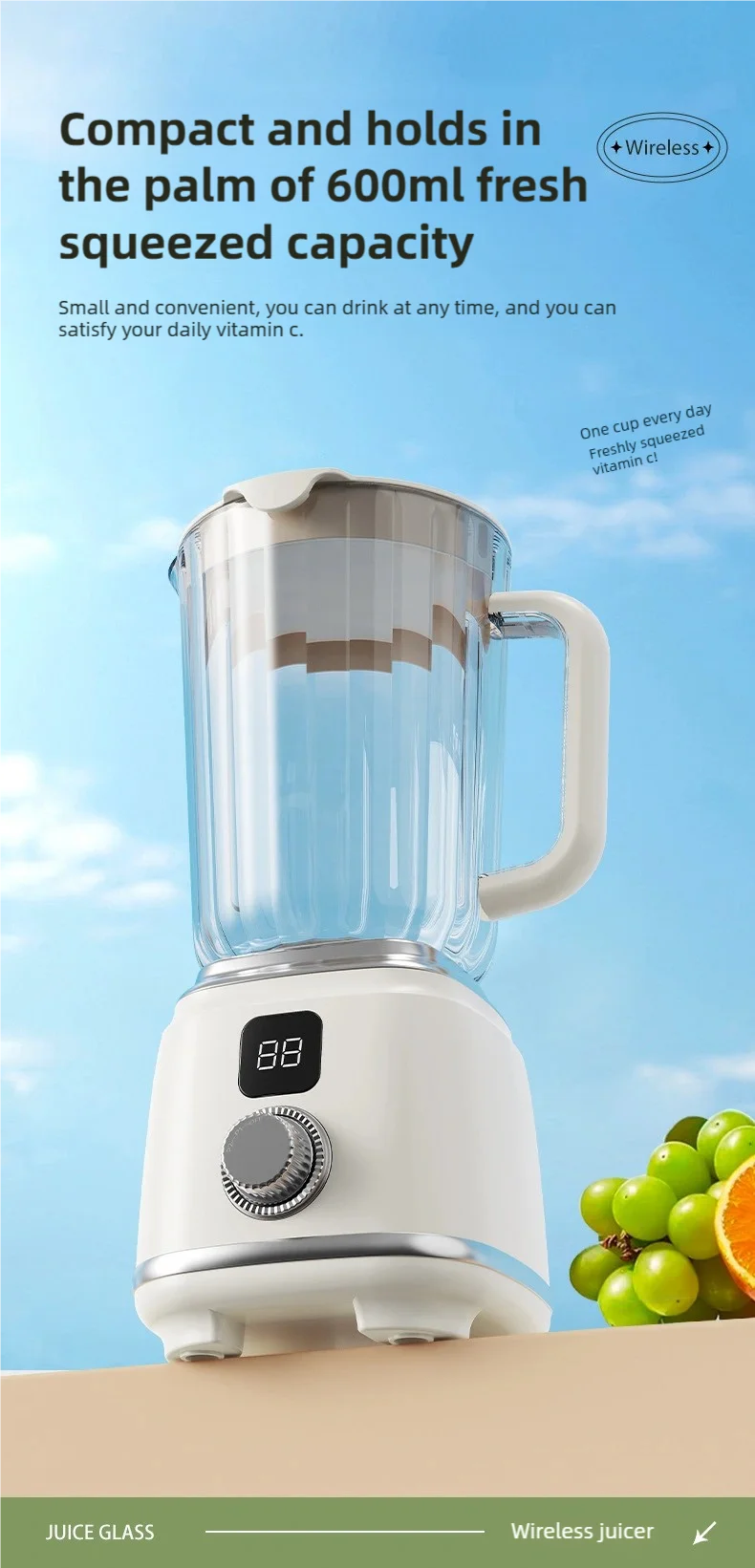 Presse-agrumes TINSOL 10 lames 3000mAh - Mélangeur multifonctionnel