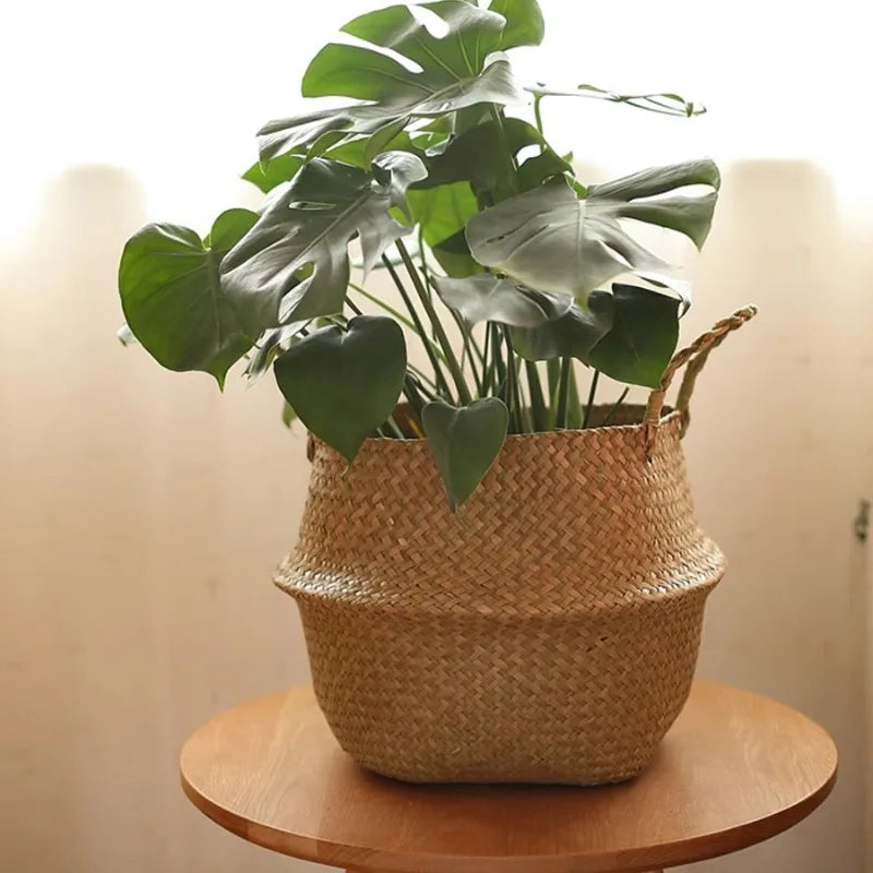 Panier en osier marin suspendu - Rangement élégant pour la maison