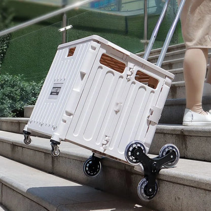 Chariot de courses pliable avec sacs – Idéal pour épicerie et pique-nique