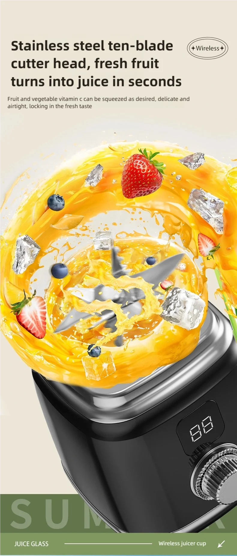 Presse-agrumes TINSOL 10 lames 3000mAh - Mélangeur multifonctionnel