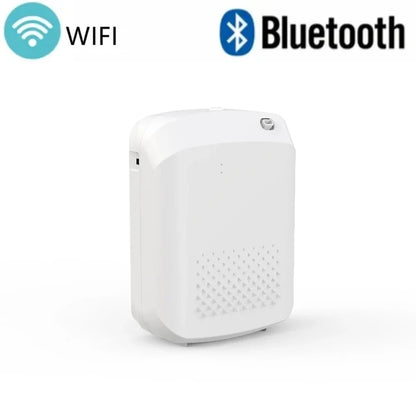 Diffuseur d'arôme intelligent Bluetooth pour maison et hôtels