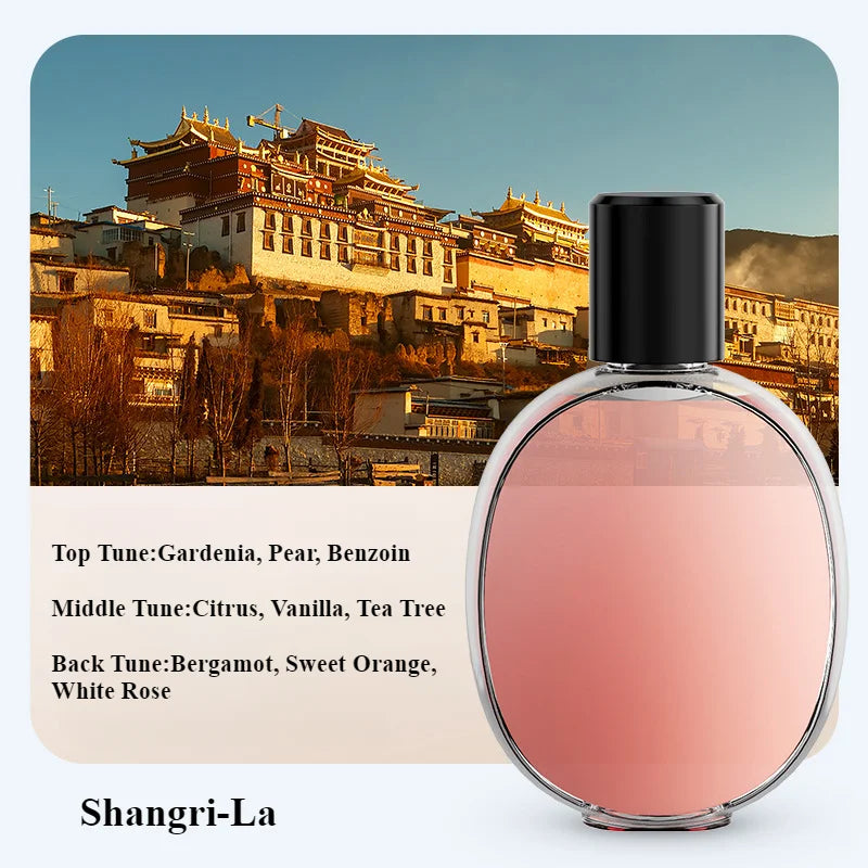 Diffuseur d'aromathérapie automatique pour maison et salle de bains