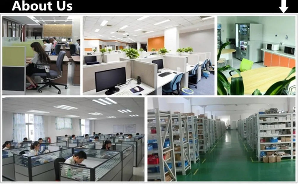 Plantes Artificielles Eucalyptus Camélia - Décor Maison et Jardin