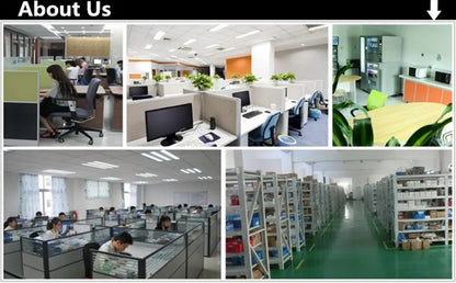 Plantes Artificielles Eucalyptus Camélia - Décor Maison et Jardin