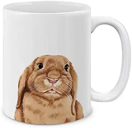 Tasse à café raton laveur - Idée cadeau Noël & hiver